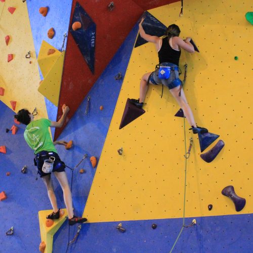 Les grimpeurs du GAG scolarisés à Saint-Gaultier et Argenton-sur-Creuse s’imposent aux championnats d’académie UNSS